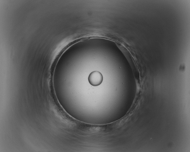 X0000111510152200907281323