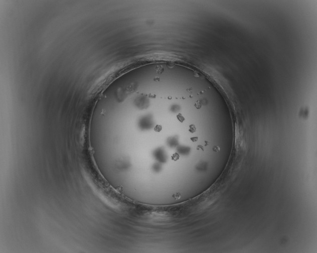 X0000111510157200907281323