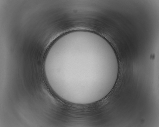 X0000111510160200907281323