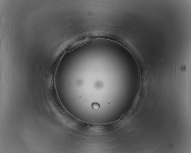 X0000111510164200907281323