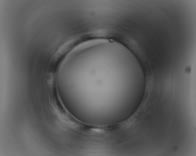 X0000111510167200907281323
