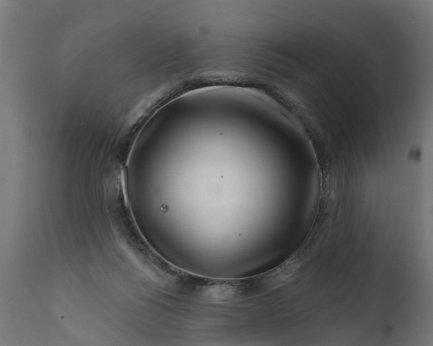 X0000111510168200907281323