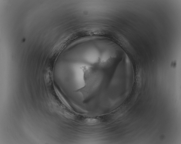 X0000111510169200907281323