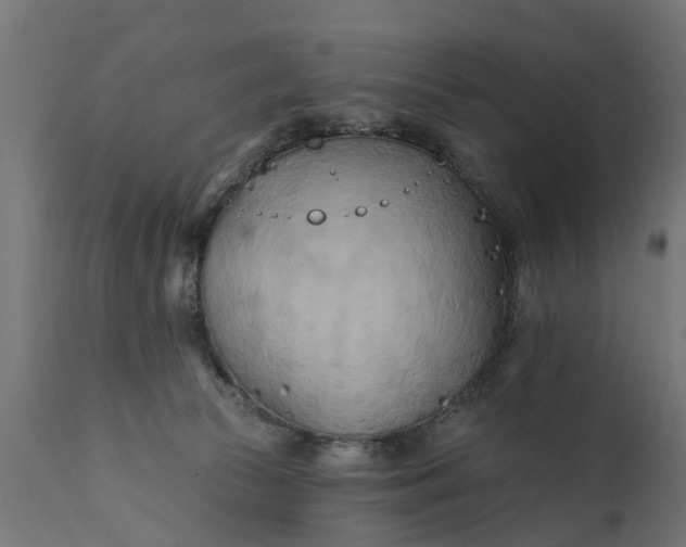 X0000111510177200907281323
