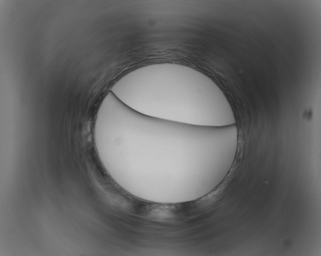 X0000111510182200907281323