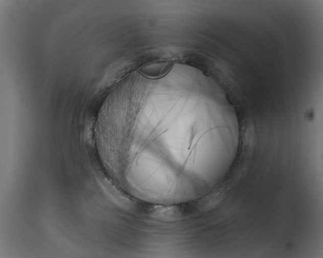 X0000111510185200907281323