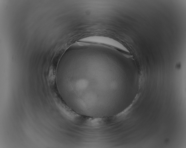 X0000111510186200907281323