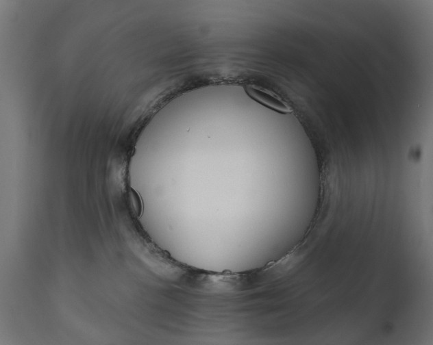 X0000111510188200907281323