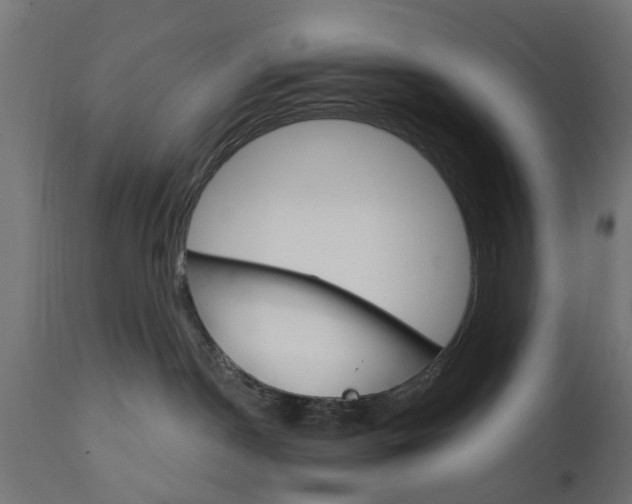 X0000111510190200907281323