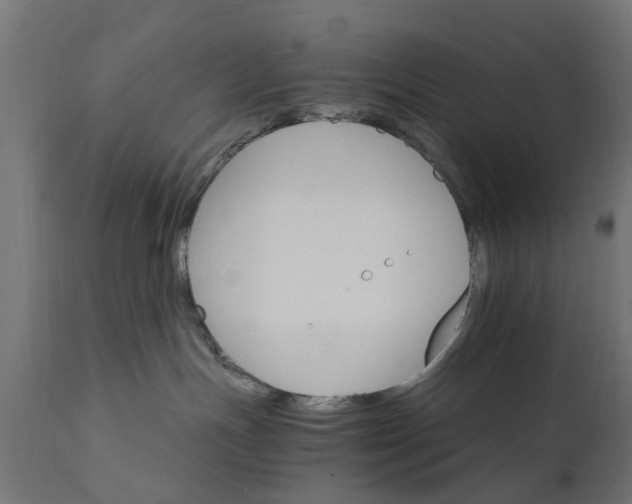 X0000111510191200907281323