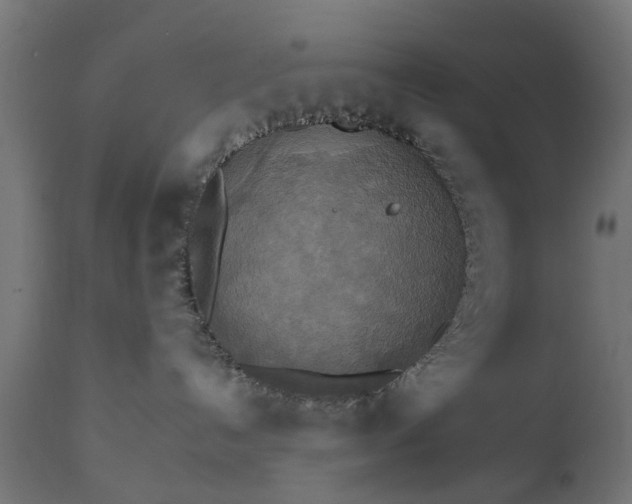 X0000111510192200907281323