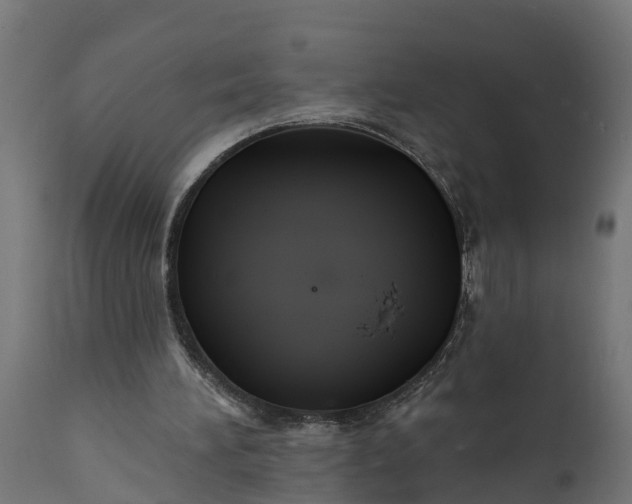 X0000111510196200907281322
