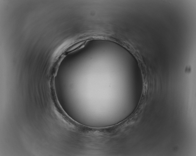 X0000111510197200907281322