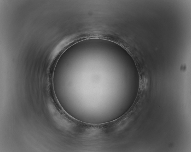 X0000111510198200907281322