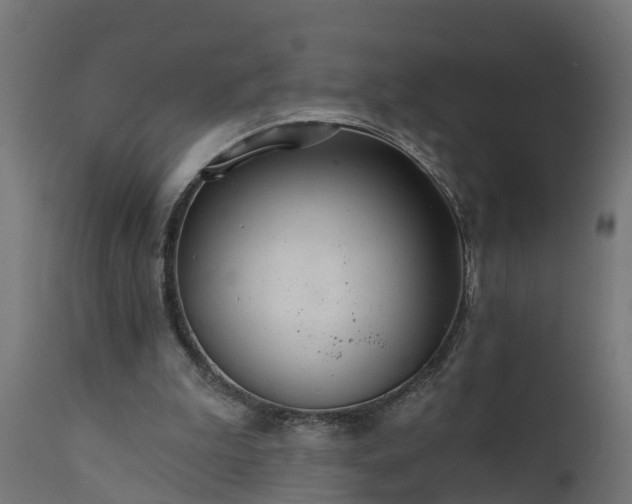 X0000111510199200907281322