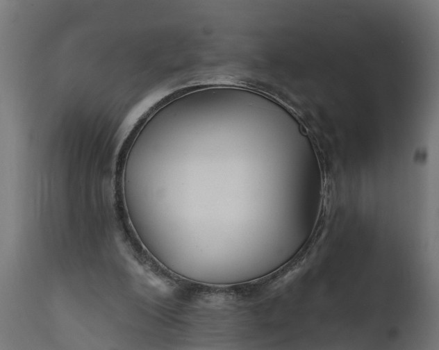 X0000111510200200907281322
