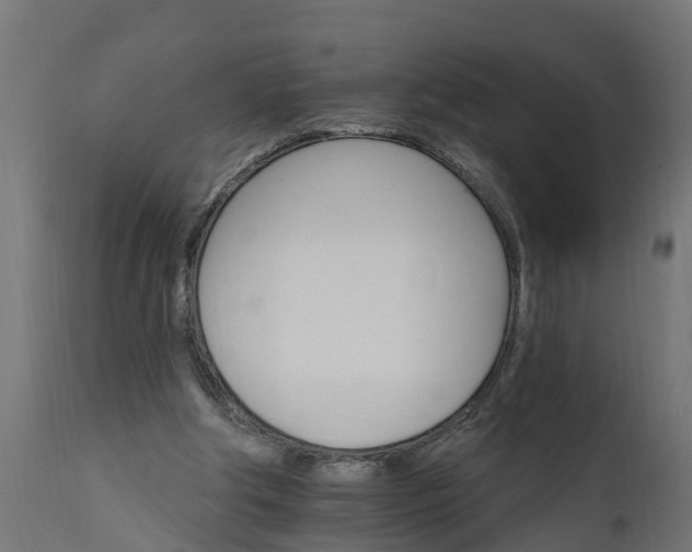 X0000111510202200907281322