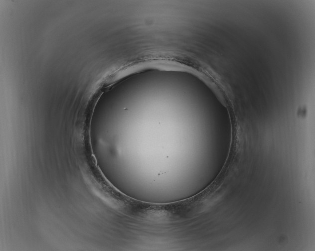 X0000111510203200907281322