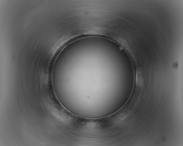 X0000111510204200907281322
