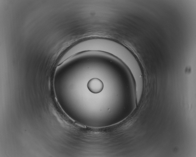 X0000111510205200907281322