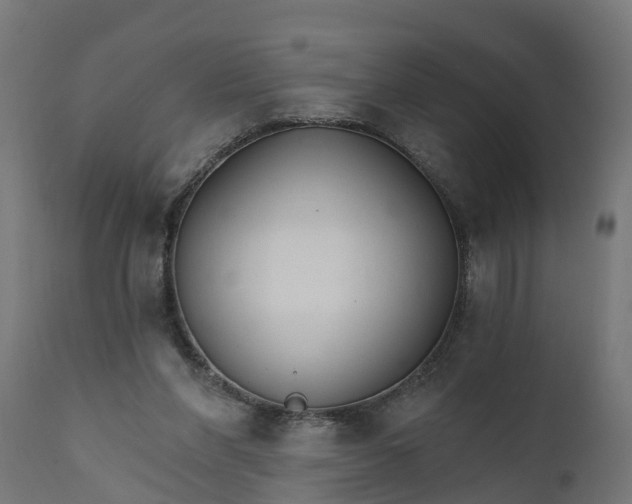 X0000111510206200907281322