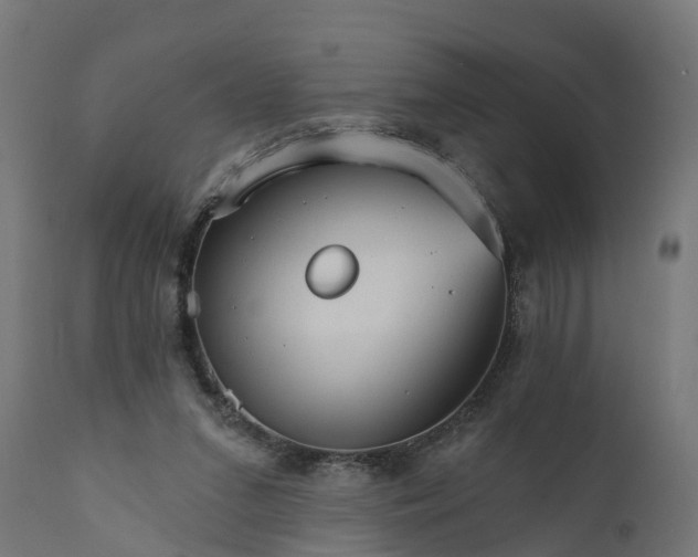 X0000111510207200907281322