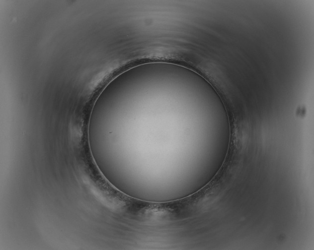 X0000111510208200907281322