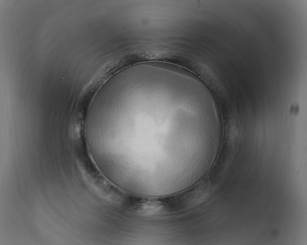 X0000111510214200907281322
