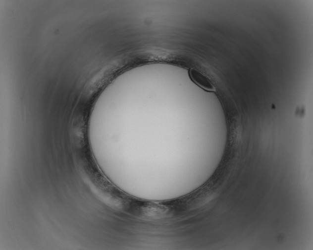 X0000111510215200907281322