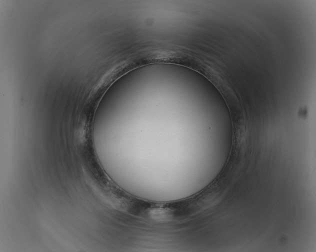 X0000111510216200907281322