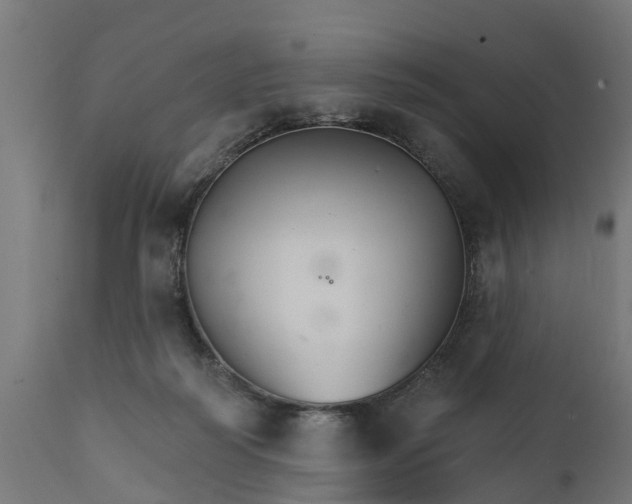 X0000111510218200907281322