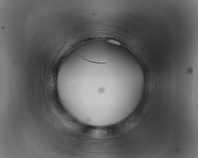 X0000111510220200907281322
