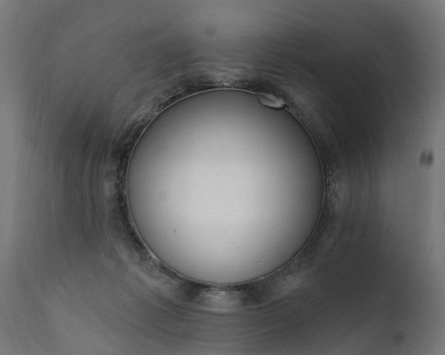 X0000111510221200907281322
