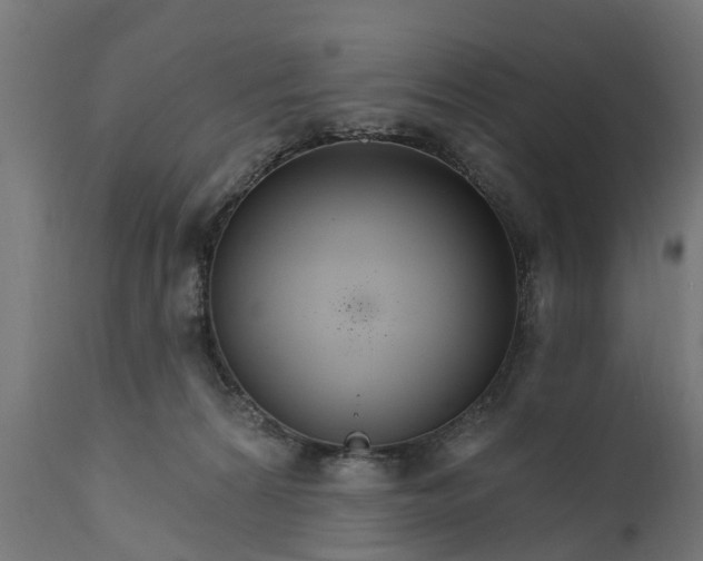 X0000111510224200907281322