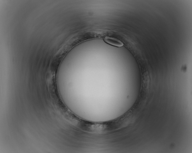 X0000111510225200907281322