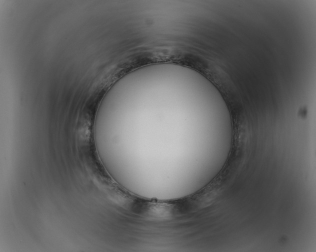 X0000111510226200907281322