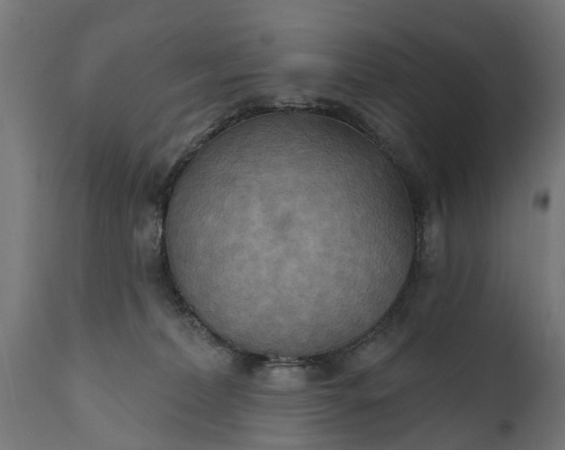 X0000111510228200907281322