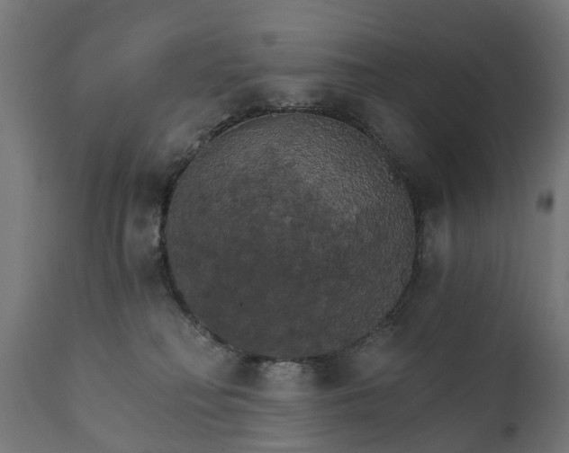 X0000111510230200907281322