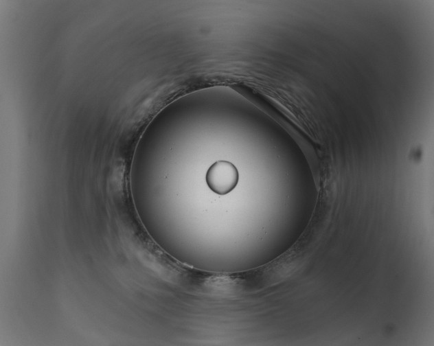 X0000111510231200907281322