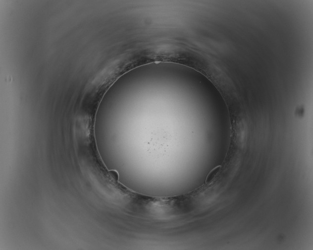 X0000111510232200907281322