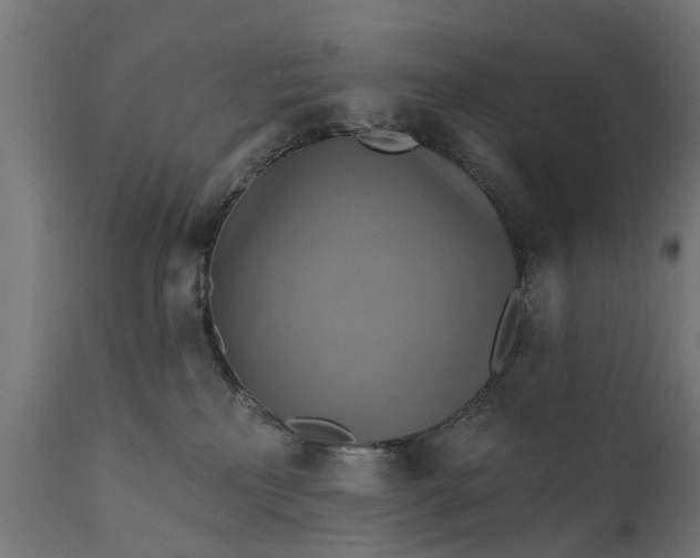 X0000111510233200907281322