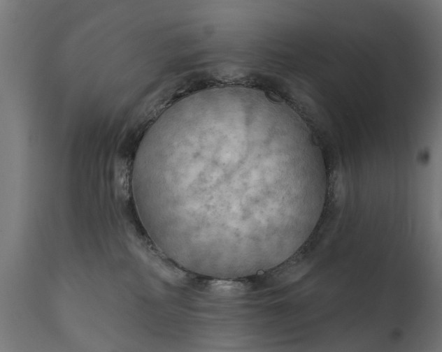 X0000111510234200907281322