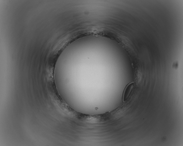 X0000111510236200907281322