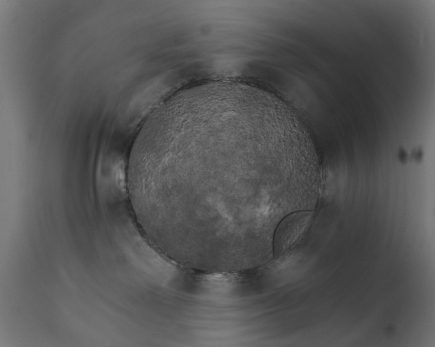 X0000111510238200907281322