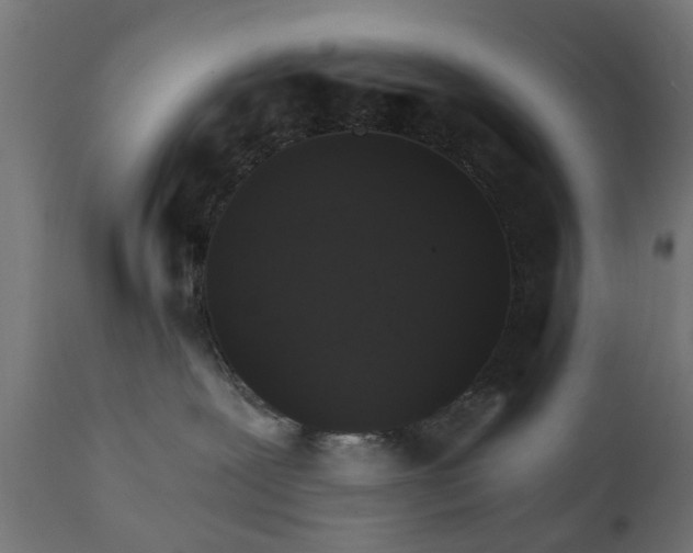 X0000111510239200907281322