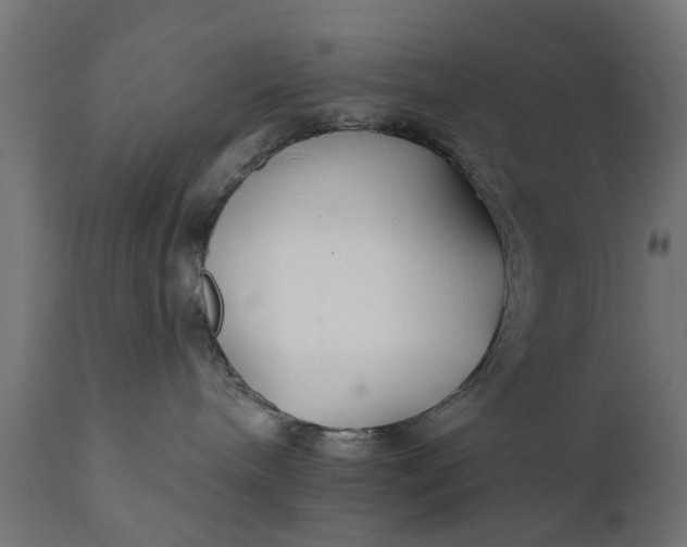 X0000111510240200907281322