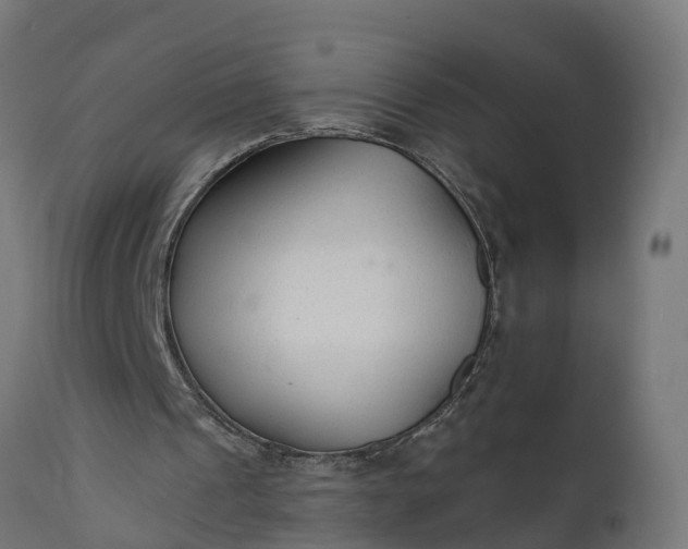 X0000111510241200907281321