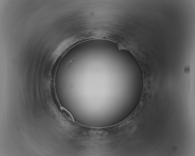 X0000111510242200907281321