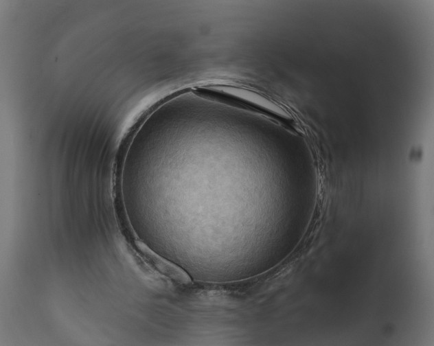 X0000111510244200907281321