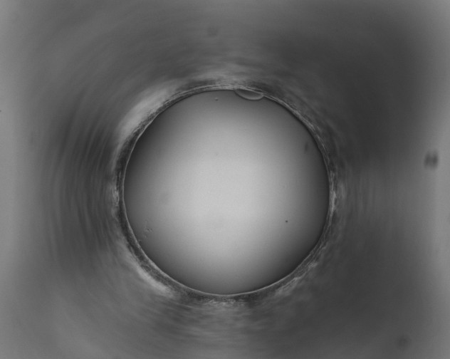 X0000111510245200907281321